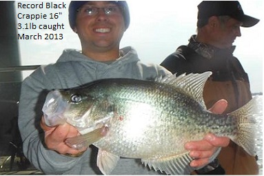 NEW Record Black Crappie 3/2013